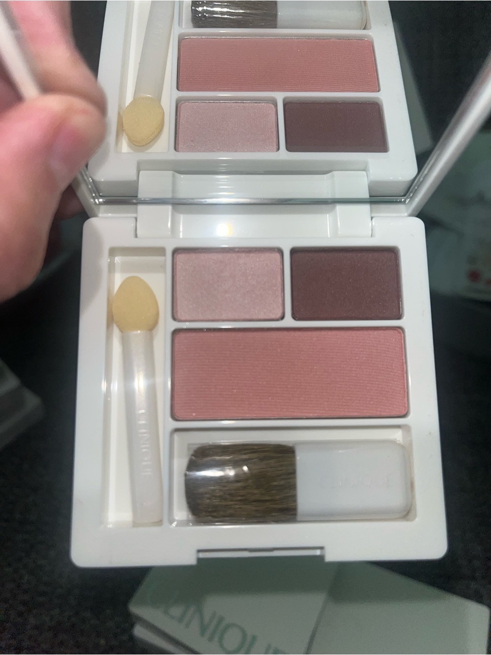 New Clinique Eye Shadow Duo w/Blush Set